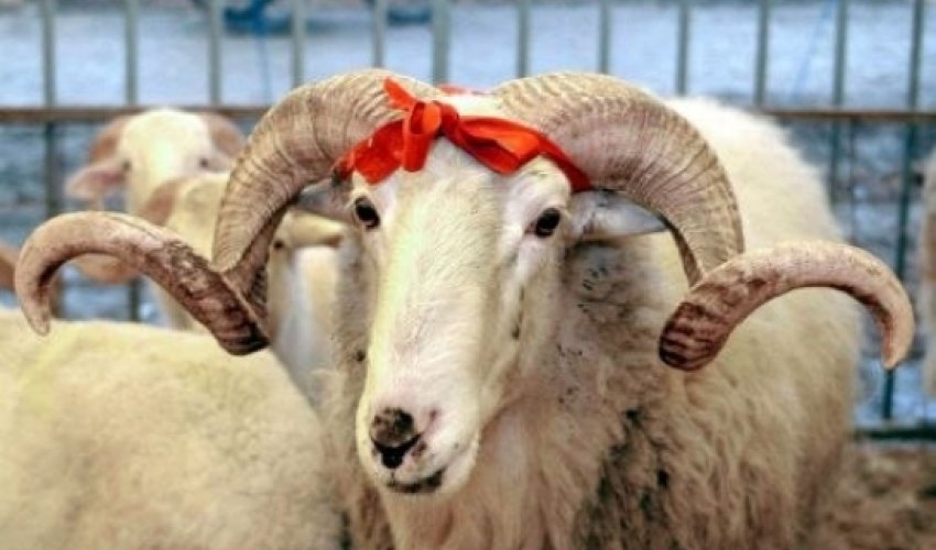 Azerbaijan celebrates Gurban holiday Azerbaijan celebrates Gurban holiday