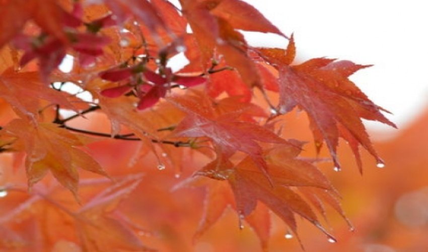 Azerbaijan weather forecast for Oct.5 Azerbaijan weather forecast for Oct.5