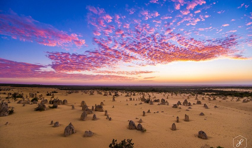 Newly-hatched turtles, starry nights and astonishing landscapes - PHOTO