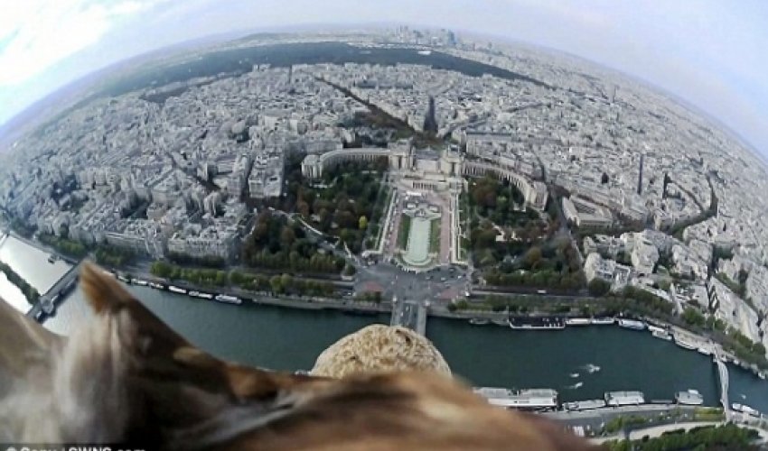 Footage captures ultimate bird's-eye view of Paris - VIDEO