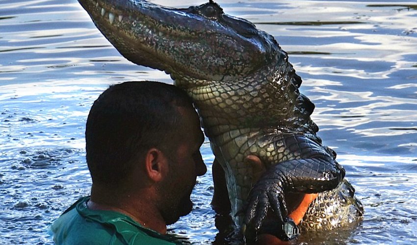 He's got hungry eyes - PHOTO He's got hungry eyes - PHOTO