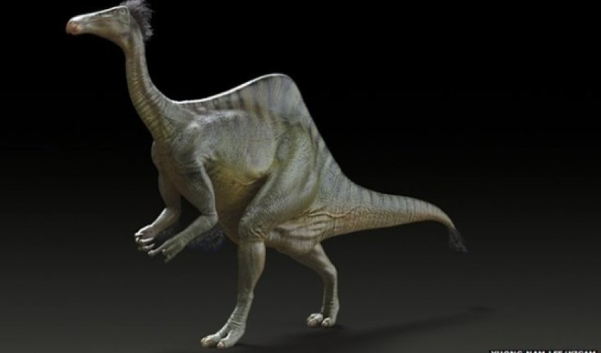 Mystery of dinosaur with giant arms solved
