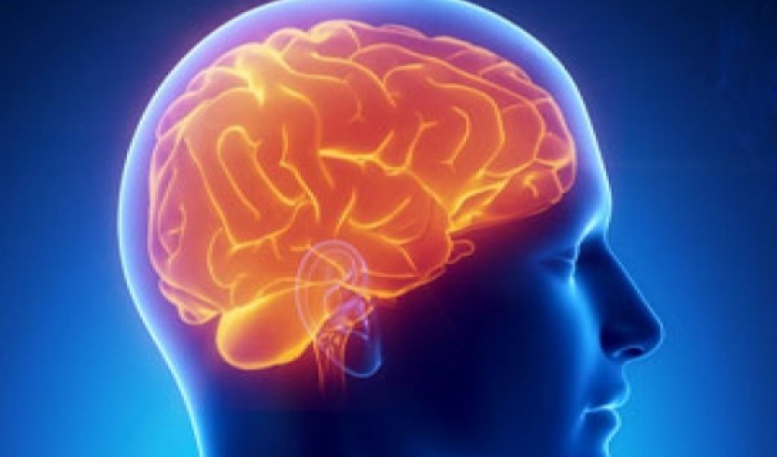 “Beyin implantı keçirmiş insanlar adi insanlardan daha çox qazanacaq” “Beyin implantı keçirmiş insanlar adi insanlardan daha çox qazanacaq”