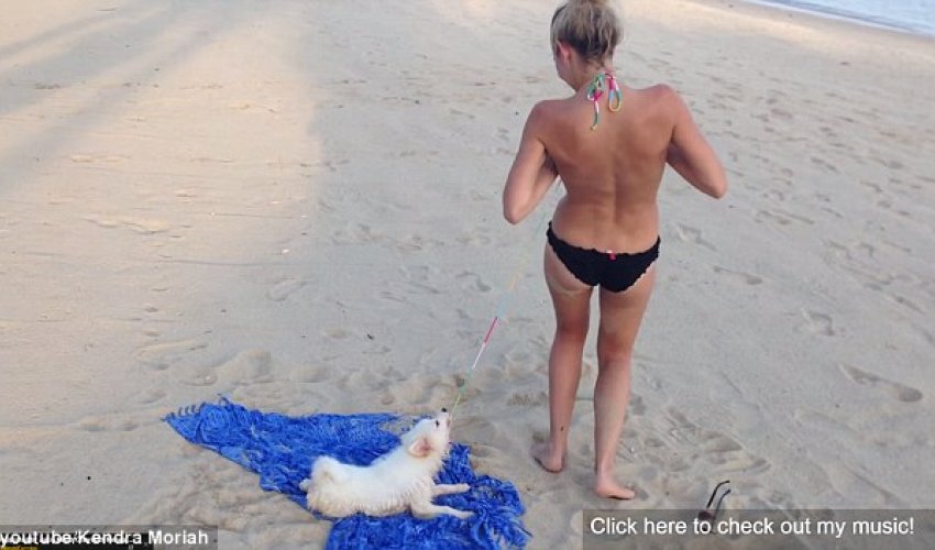 Puppy attempts to pull off girls bikini top - VIDEO Puppy attempts to pull off girls bikini top - VIDEO