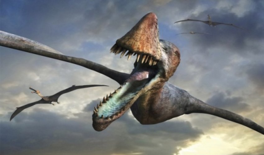 Flying pterosaurs were as big as it gets, study finds Flying pterosaurs were as big as it gets, study finds