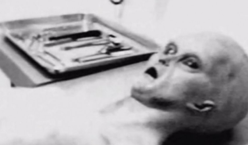 Ученый хвастается фотографиями расчлененных пришельцев