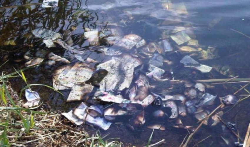 Over £60,000 worth of banknotes found floating down a river