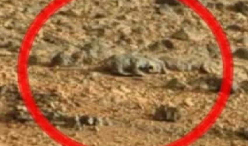 Photos hrom Mars that will make you believe in aliens - or rocks - PHOTO