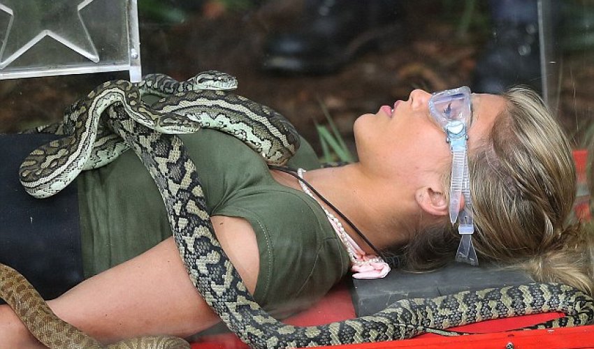 Celebrity shakes with fear after facing snakes - PHOTO+VIDEO Celebrity shakes with fear after facing snakes - PHOTO+VIDEO