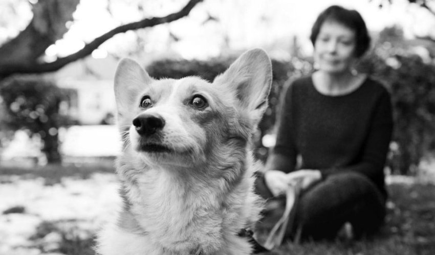 Heart-breaking pictures of ill pets with their loving owners before they die - PHOTO