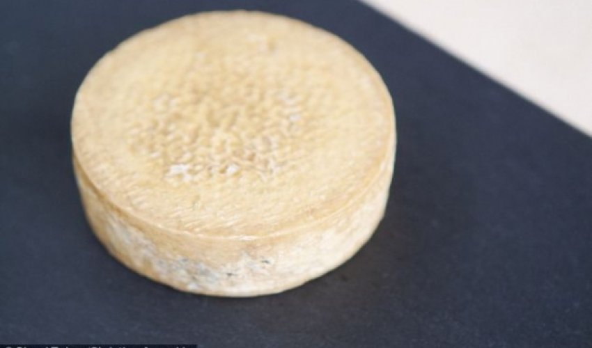 Would you eat cheese made from HUMAN FEET and ARMPITS?