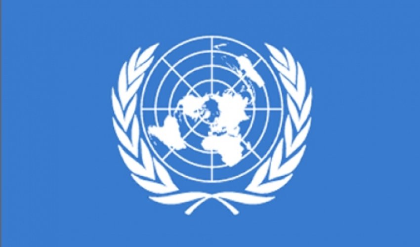 UN special rapporteur to visit Azerbaijan