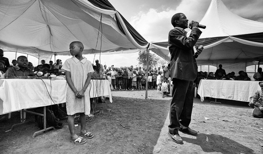 More than 500 trees planted in Baku’s Nasimi district - PHOTO