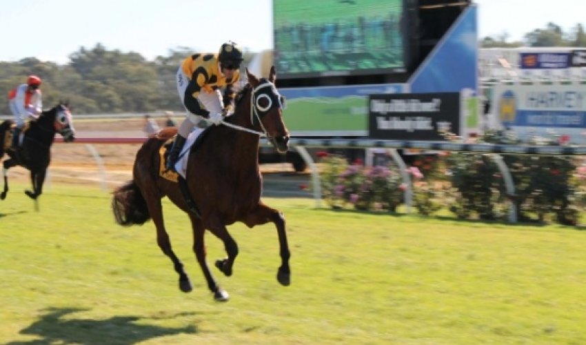 The world's worst racehorse? The world's worst racehorse?