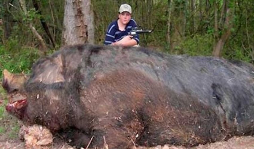 World’s largest pig – hogzilla II