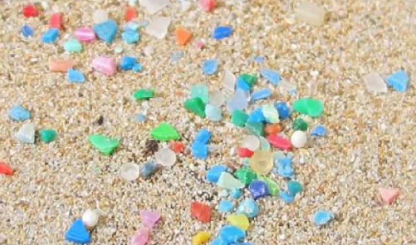 Plastic 'a threat' to biodiversity Plastic 'a threat' to biodiversity
