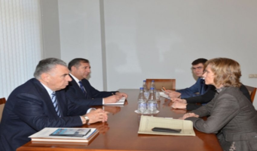 Germany to start new project on Azeri refugees