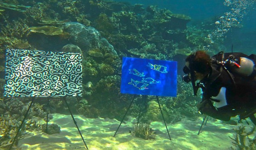 Great Barrier Reef stages underwater art exhibition - PHOTO