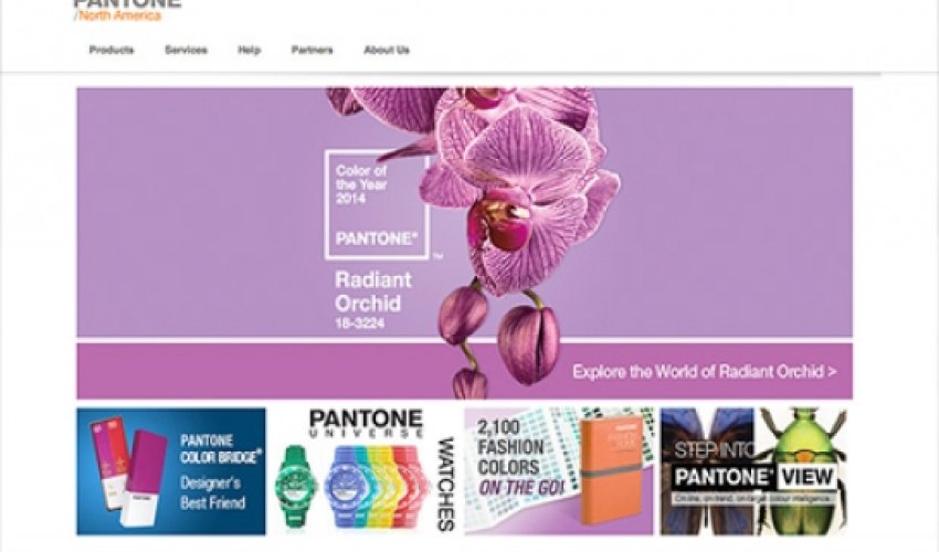 The color of 2014: radiant orchid The color of 2014: radiant orchid