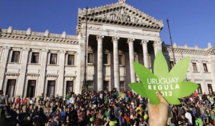 Uruguay marijuana move 'illegal' - UN drugs watchdog Uruguay marijuana move 'illegal' - UN drugs watchdog
