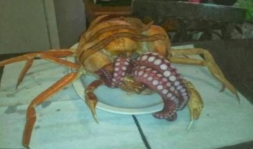 That's no way to stuff a turkey That's no way to stuff a turkey