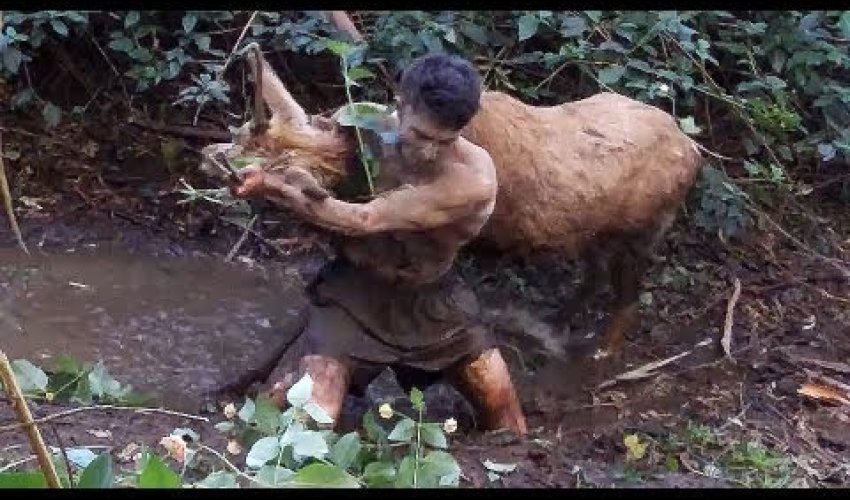 Wild animals caught barehanded - PHOTO+VIDEO Wild animals caught barehanded - PHOTO+VIDEO