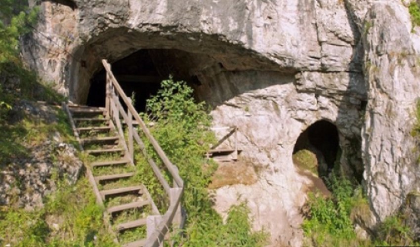 Mystery early human revealed in DNA Mystery early human revealed in DNA