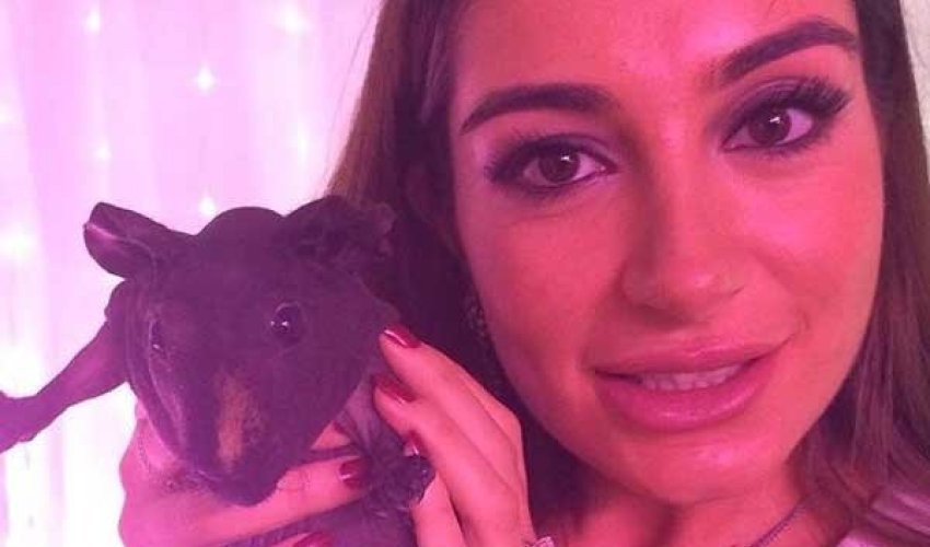 Arzu Aliyeva posts pictures with cavy - PHOTO Arzu Aliyeva posts pictures with cavy - PHOTO