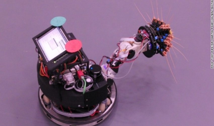 How rodents and coffee could shape future space robots