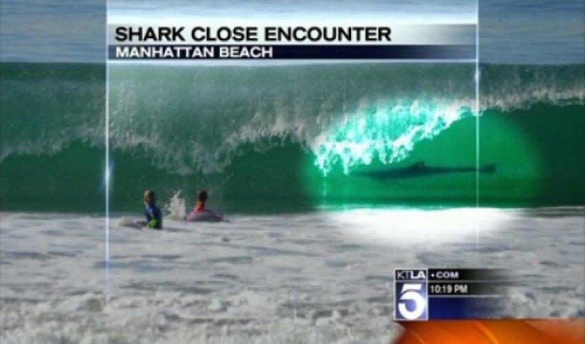 Shark photobomb? Family photo captures big fish lurking just feet from family - VIDEO Shark photobomb? Family photo captures big fish lurking just feet from family - VIDEO
