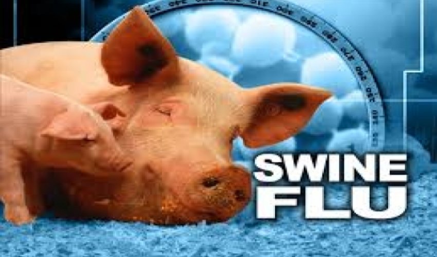 Swine flu kills Santa Clara County woman Swine flu kills Santa Clara County woman