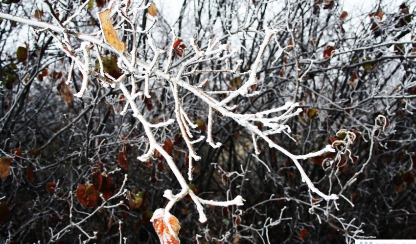 Winter in central Azerbaijan - PHOTO