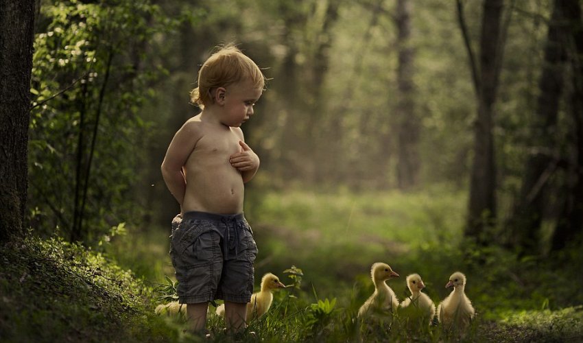 The child animal whisperers - PHOTO The child animal whisperers - PHOTO
