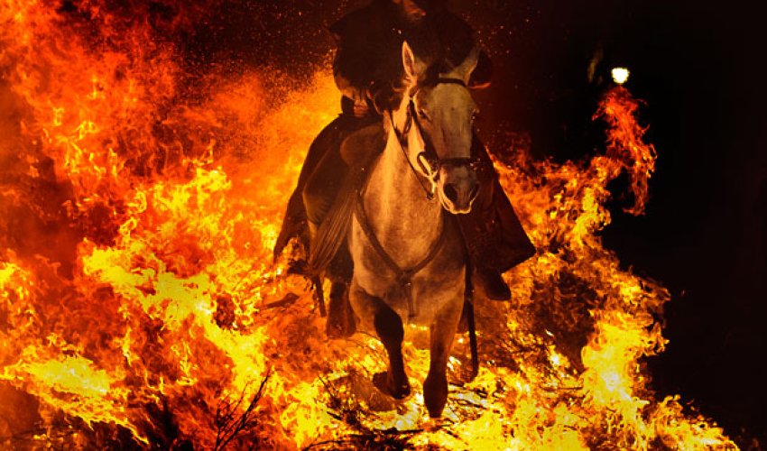 Horses leap fires in ancient Spanish festival - PHOTO Horses leap fires in ancient Spanish festival - PHOTO