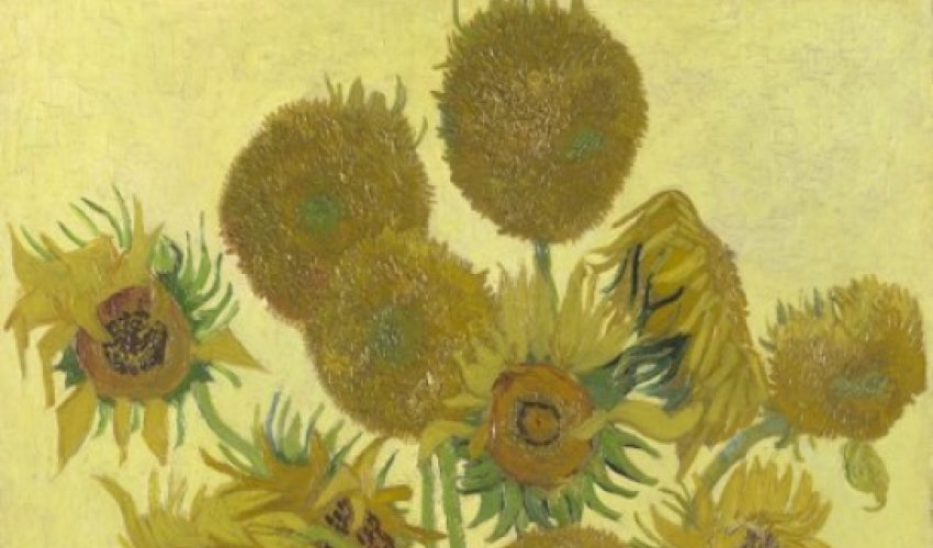 How Van Gogh's Sunflowers came into bloom