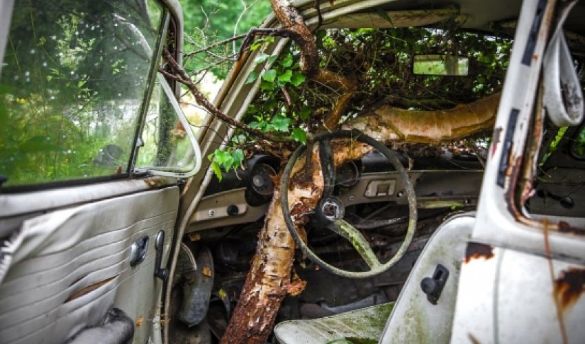 Thousands of automobiles rust away in Sweden's classic car graveyard Thousands of automobiles rust away in Sweden's classic car graveyard