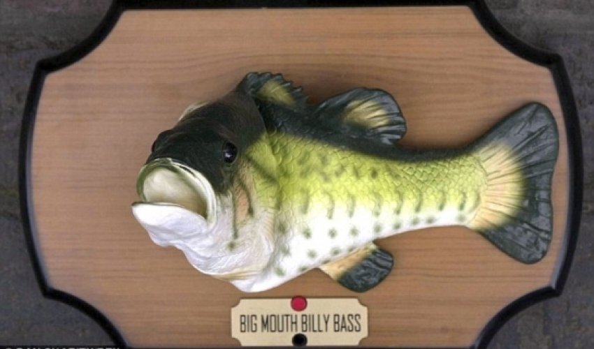 Novelty singing fish Big Mouth Billy Bass scares off burglar at tackle shop Novelty singing fish Big Mouth Billy Bass scares off burglar at tackle shop