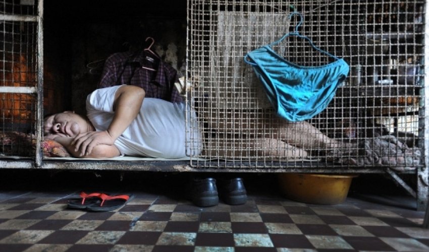 Hong Kong's 'caged dogs' - PHOTO Hong Kong's 'caged dogs' - PHOTO