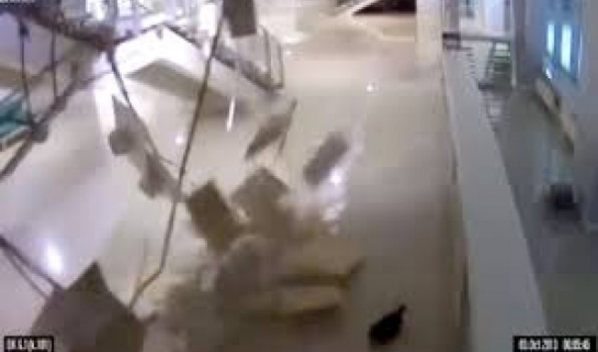 Cat appears to cause Sochi arena ceiling to collapse - VIDEO