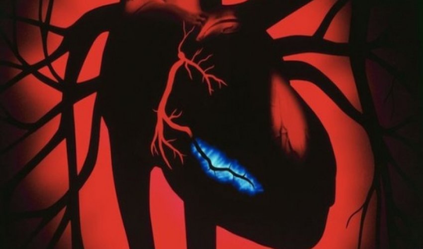 Can stem cells heal broken hearts? Can stem cells heal broken hearts?