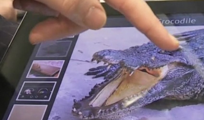 Fujitsu tablet 'lets you feel textures' on the screen - VIDEO