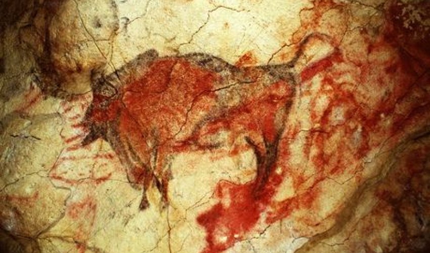 Altamira cave paintings to be opened to the public once again - PHOTO