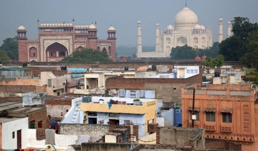 Indian murderer is caught after victim's pet bird identifies the killer Indian murderer is caught after victim's pet bird identifies the killer