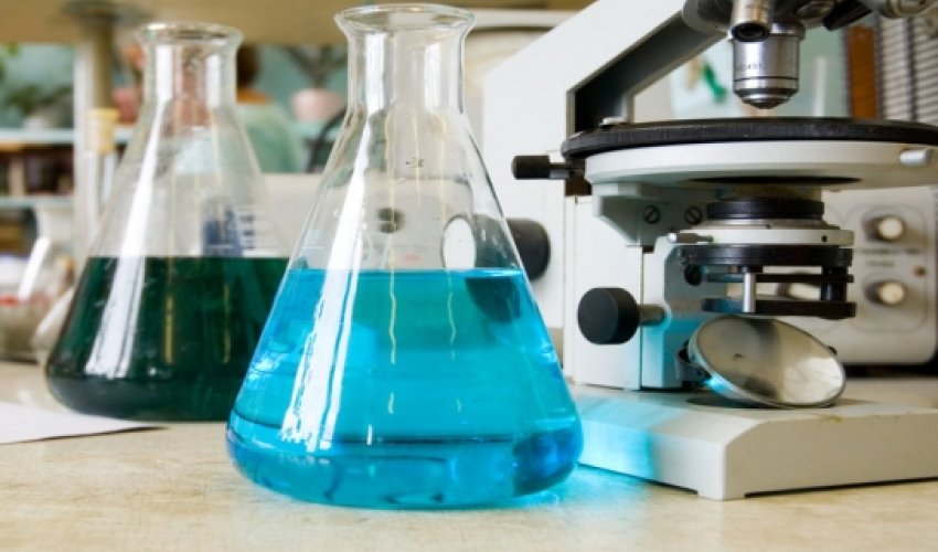 Ears and noses to be grown in lab from stem cells Ears and noses to be grown in lab from stem cells