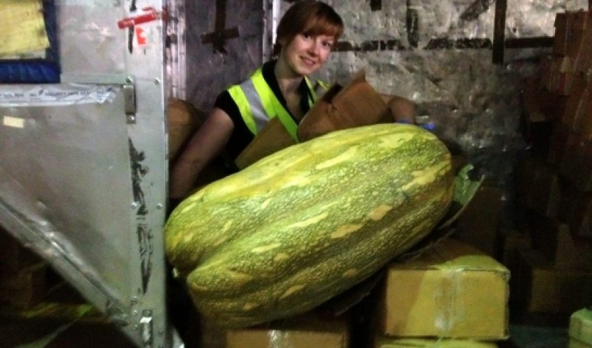 Talk about squashing in your luggage! Talk about squashing in your luggage!