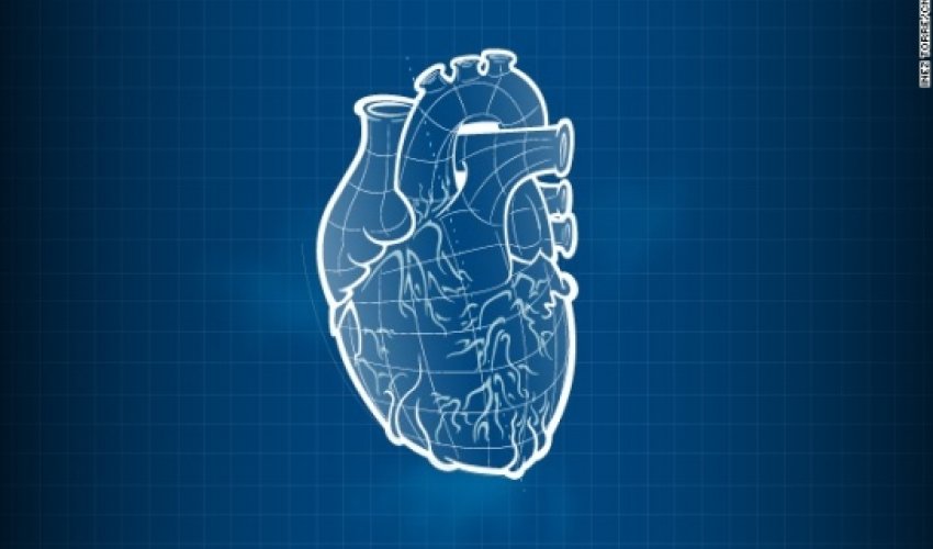 Lungs on a chip, 3-D printed hearts