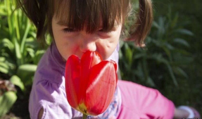 Nose can detect one trillion odours Nose can detect one trillion odours