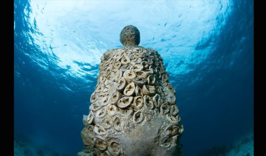 A museum on the ocean floor - PHOTO