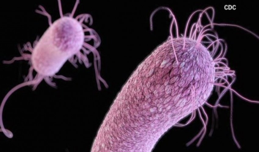 The antibiotics that could kill you The antibiotics that could kill you