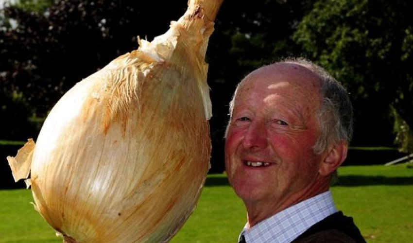 World's largest cauliflower - PHOTO World's largest cauliflower - PHOTO